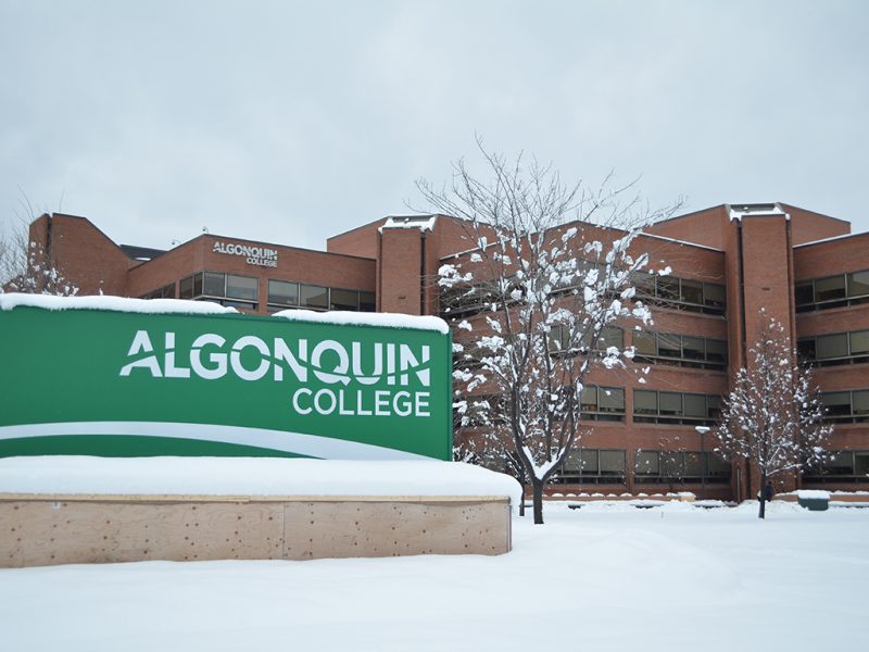 Algonquin College's name is a sort of tribute, a nod to it being situated on Algonquin First Nation unceded territory. This video, featuring Kitigan Zibi Anishinabeg Chief Gilbert Whiteduck and Algonquin President Kent MacDonald features a brief explanation of the name's origin