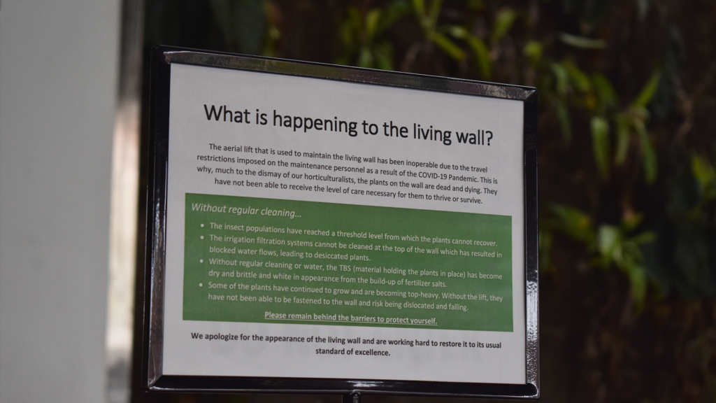 What happened to the Bio Wall in the ACCE building? – algonquin times